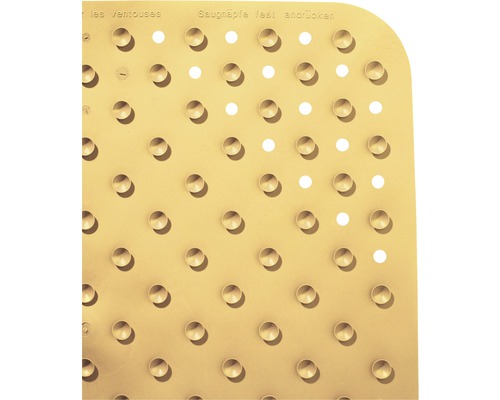 Tapis de bain avec ventouses