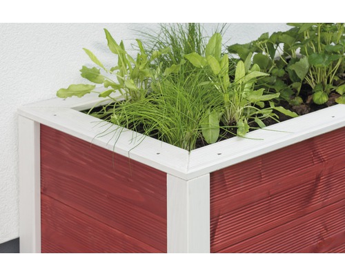 Jardinière surélevée en bois avec herbes aromatiques et fraises