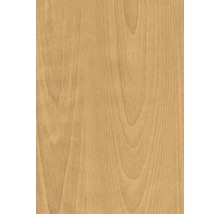 Holzstruktur für Heimwerkerprojekte