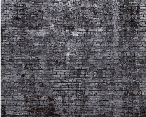 Papier peint panoramique intissé 940954 Factory IV mur en pierres gris 8 pces 300 x 372 cm Gros plan d''un mur de briques gris avec une zone voûtée