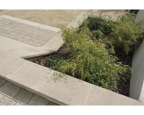 Gartenanlage mit Pflastersteinen und Bepflanzung