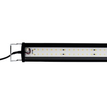 Éclairage d'aquarium Dennerle Trocal LED 70