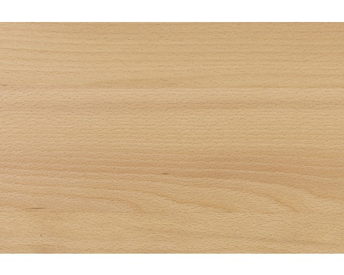 Holzstruktur Buche