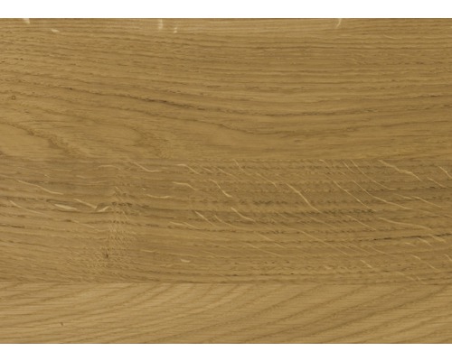 Gros plan de la texture du bois de chêne