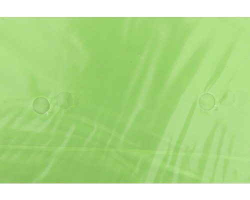 Feuille verte avec trous