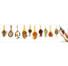 Crédence de cuisine mySpotti Splash Oriental Spice épices 2800 x 600 mm SP-F2-1259-thumb-1