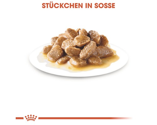 Katzenfutterstücke in Soße auf einem Teller