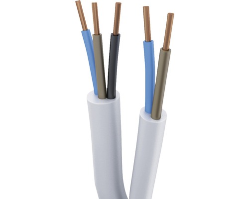 Câble électrique à plusieurs conducteurs