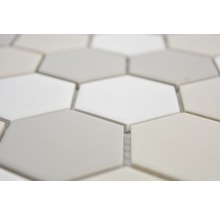 Carreaux de mosaïque de forme hexagonale