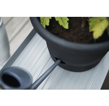 Gros plan d''une plante en pot avec système d''arrosage et arrosoir