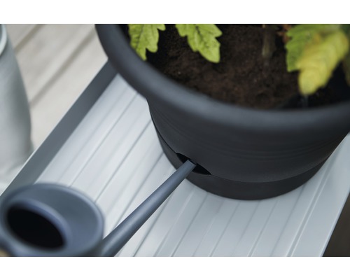 Gros plan d''une plante en pot avec système d''arrosage et arrosoir