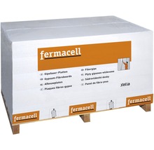 fermacell Gipsfaserplatte 1200 x 600 x 10 mm-thumb-3