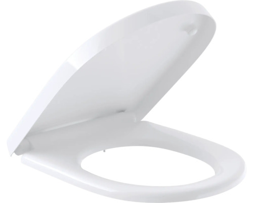 Toilettendeckel mit Absenkautomatik