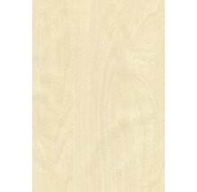 Moulure de finition pour plafonds Royal bouleau 17x36x2600 mm