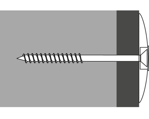 Illustration d''une vis avec cheville