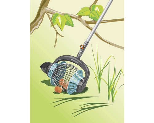 Illustration d''un ramasse-noix avec manche télescopique sous un arbre