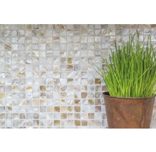 Muschelmosaik SM 203 hellbeige 30,5x30,5 cm
