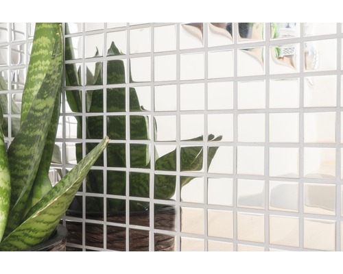 Wandfliesen mit Spiegeloptik und Zimmerpflanze