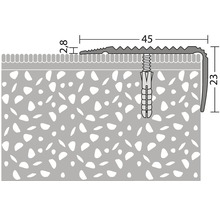 Illustration eines Treppenkantenprofils mit Maßangaben und Befestigung