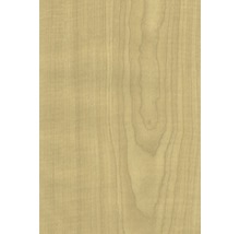 Holzstruktur