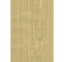 Holzstruktur
