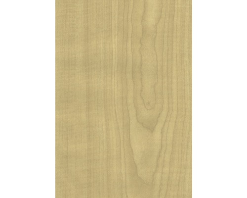 Texture du bois