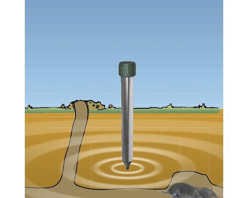 Maulwurfschreck im Einsatz zur Maulwurfbekämpfung im Garten.