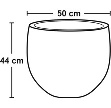 Skizze eines Pflanzgefäßes mit den Maßen 50 mal 44 Zentimeter.