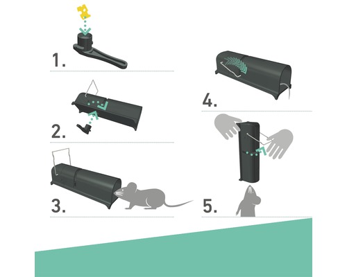 Anleitung zur Verwendung einer Mausefalle in fünf Schritten