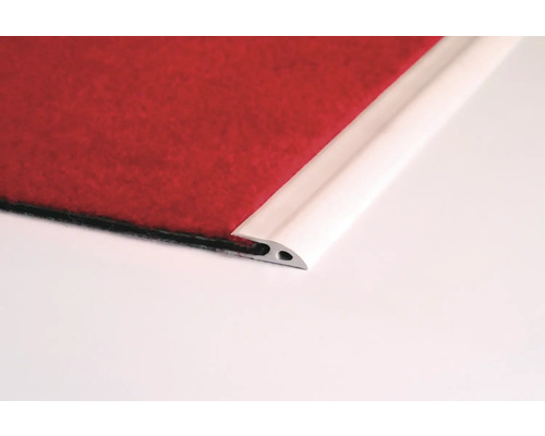 Profilleiste mit Teppich