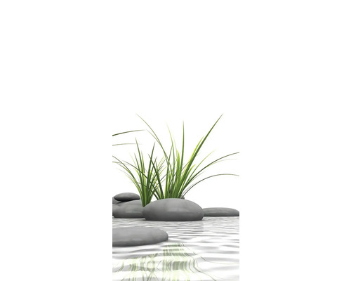 Pierres décoratives et herbes dans l''eau