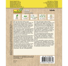 Graines de laitue Saladin Lactuca sativa de FloraSelf