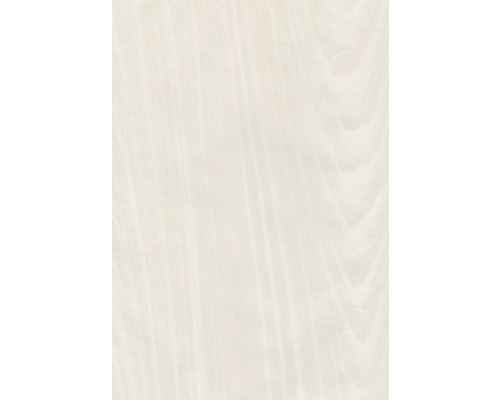 Texture de bois, grain de bois clair