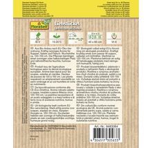 Emballage de graines de livèche avec des informations sur la culture et l''entretien