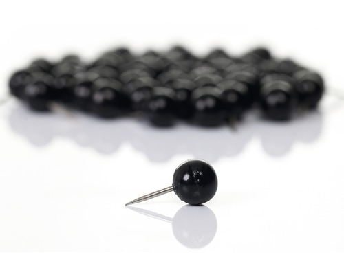 Punaises avec tête en plastique