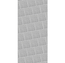 Granit Terrassenplatte grau 40 x 40 x 3 cm-thumb-3