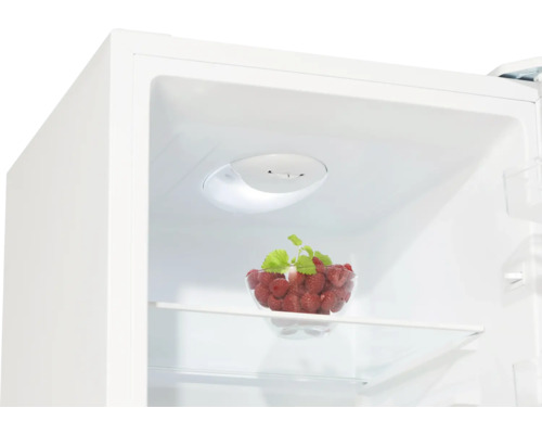 Innenraum eines Kühlschranks mit einer Schale Himbeeren auf einem Glasregal