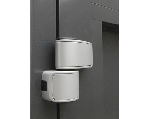 Paumelle de porte en métal sur une porte