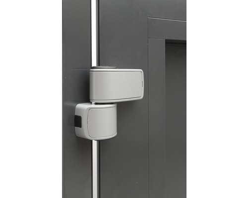 Paumelle de porte en métal sur une porte
