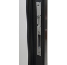 Porte d'entrée aluminium Nevada anthracite 1100 x 2100 mm gauche-thumb-7