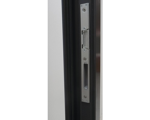 Gâche de porte