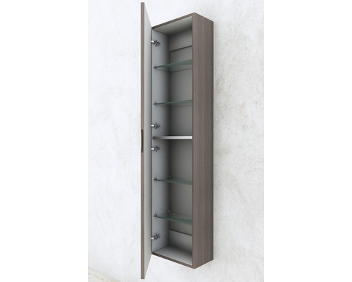 Armoire suspendue de salle de bain étroite ouverte avec étagères en verre