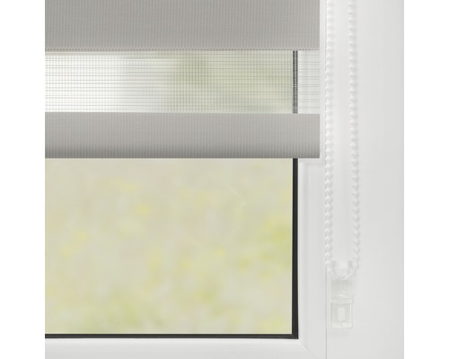 Fenêtre avec store double pour l''intimité et la protection solaire