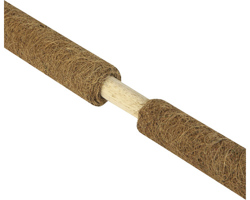 Pflanzenstütze aus Kokosfaser mit Holzstab