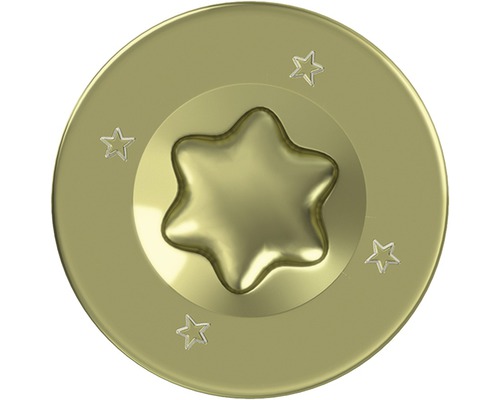 Schraubenkopf mit Torx Antrieb und Sternen