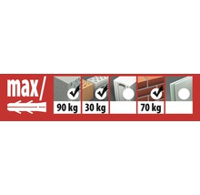 Cheville longue multiusages Tox Constructor Ø 10/160 mm et vis, 25 pièces