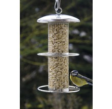 Mangeoire à oiseaux avec des cacahuètes et mésange bleue