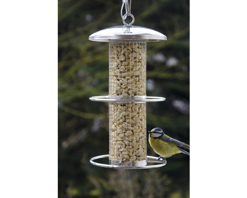 Mangeoire à oiseaux avec des cacahuètes et mésange bleue