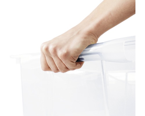 Hand hält transparente Aufbewahrungsbox