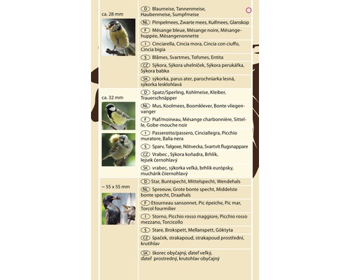 Image de différentes espèces d''oiseaux pour l''identification